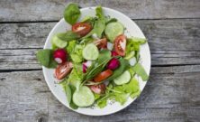 Salat: En rejse gennem friske ingredienser